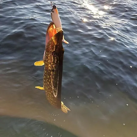 Kaszubskie Laki Сasa de vacaciones